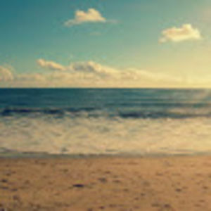 Meet your Posher, Judy